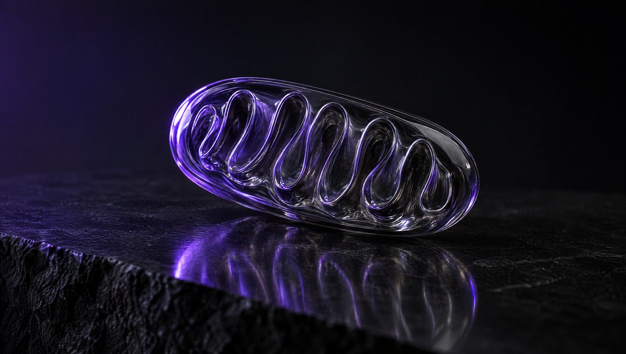 An oval glass capsule with folded inner glass ridges resting on black stone, its edge lit in violet against a dark background.
